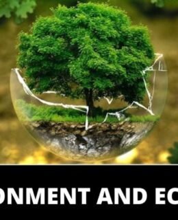 ENVIRONMENT-AND-ECOLOGY-768x432
