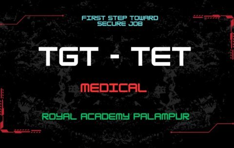 WhatsApp Image 2024-11-08 at 10.16.30 PM