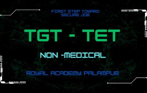 WhatsApp Image 2024-11-08 at 10.16.31 PM