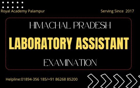 WhatsApp Image 2024-12-29 at 6.13.10 AM (1)